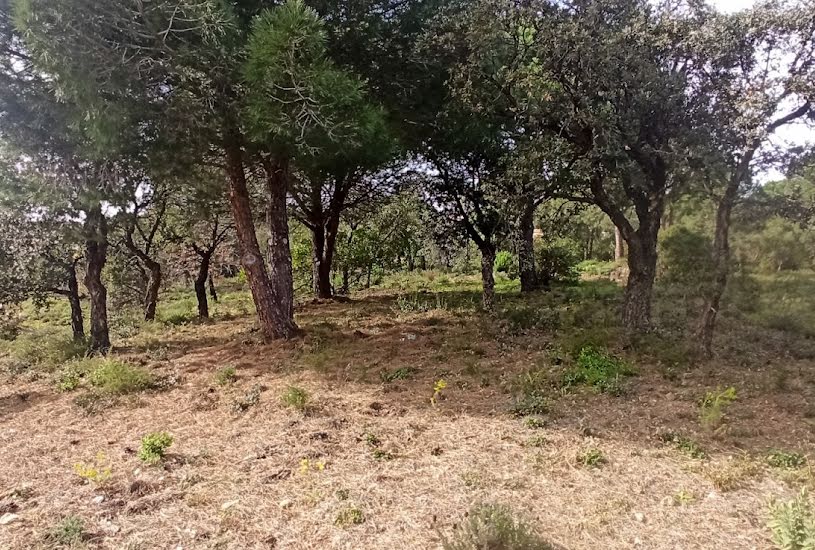  Vente Terrain à bâtir - 1 629m² à Sainte-Maxime (83120) 