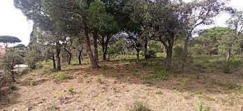 terrain à Sainte-Maxime (83)