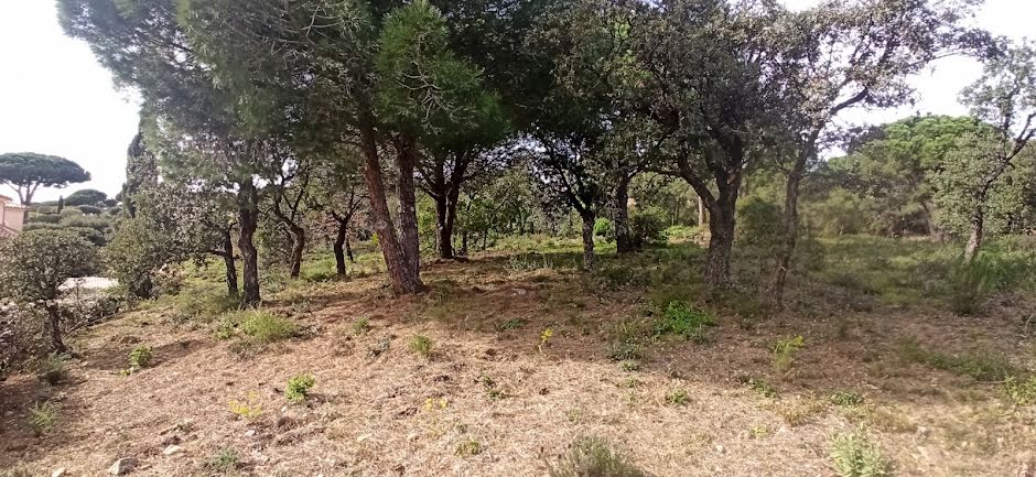 Vente terrain  1629 m² à Sainte-Maxime (83120), 1 260 000 €