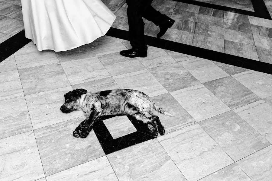 Fotógrafo de bodas József Márk Losonczi (losonczi). Foto del 16 de febrero