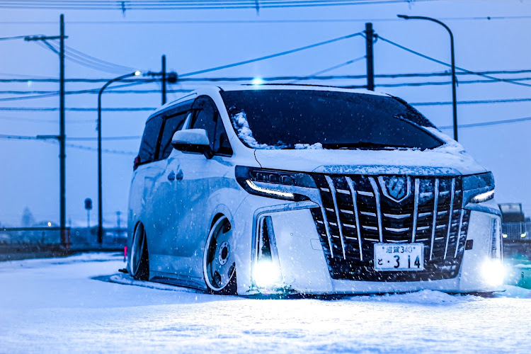 アルヴェル　車高調写真のパーツが全てです