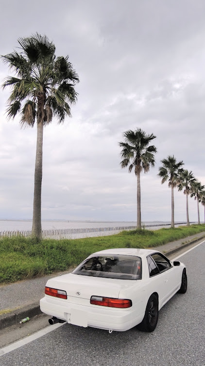 シルビアのドライブ・S13シルビア・千葉県・千葉フォルニア(袖ヶ浦海浜公園)に関するカスタム事例の投稿画像1枚目