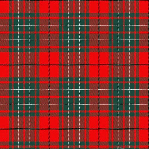 he Cumming Tartan colors are Green, Red, and White.
This tartan pattern will make your clothes more stylish and elegant. We have a wide selection of quality kilts. jackets, skirts, and other clothes made of this gorgeous Cumming Tartan.