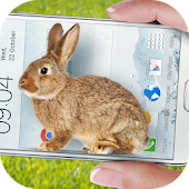 Bunny in Phone Cute joke
