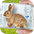 Bunny in Phone Cute joke Download on Windows