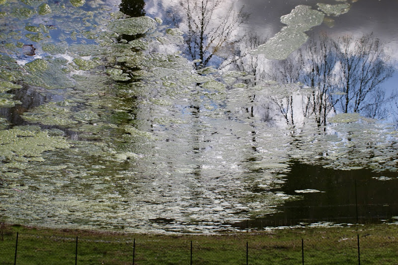 "Terra, acqua, cielo" di Genovese