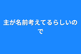 主が名前考えてるらしいので