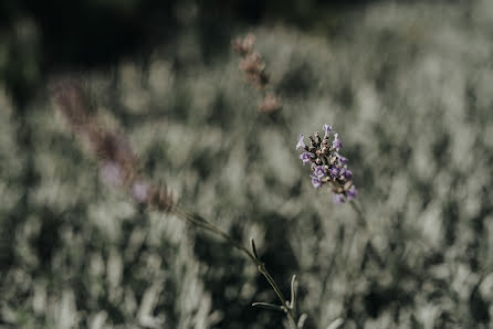 Wedding photographer Riccardo Iozza (riccardoiozza). Photo of 21 December 2019