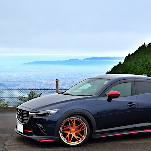 CX-3 DKEFW