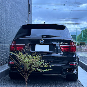 X5 xDrive 35i