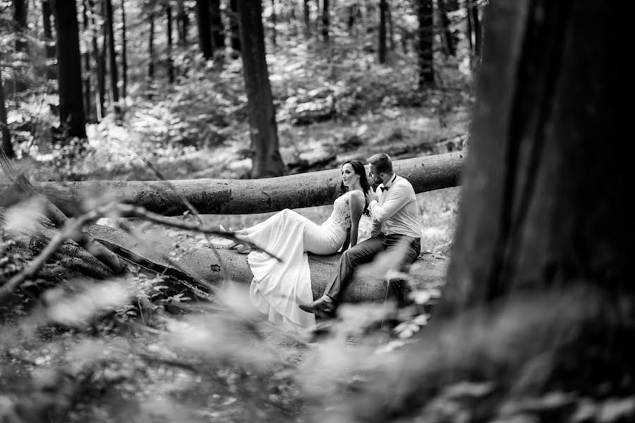 Fotograful de nuntă Stanisław Gwizdak (sgwizdak). Fotografia din 20 aprilie 2020