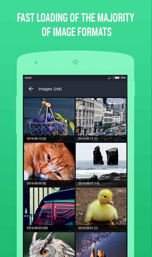 Prime Photo Gallery Screen 2