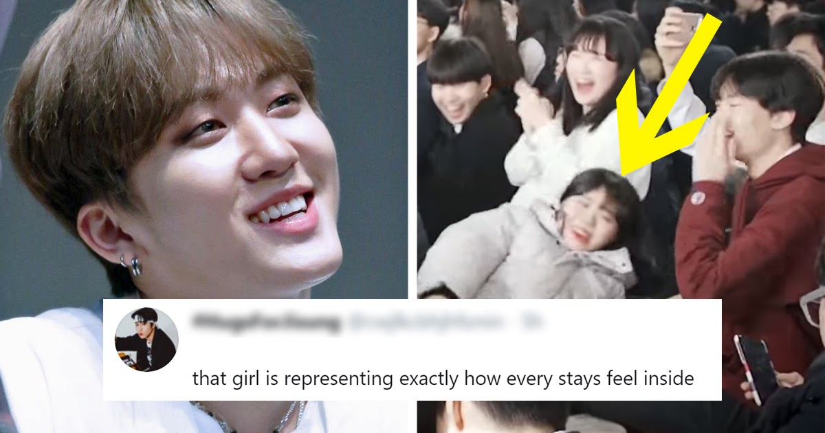 Are Loving STAY's Reaction To An Interaction With Stray - Koreaboo