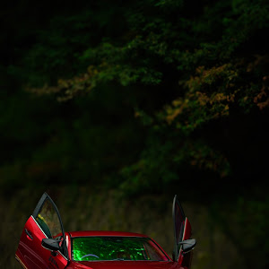 アクセラスポーツ