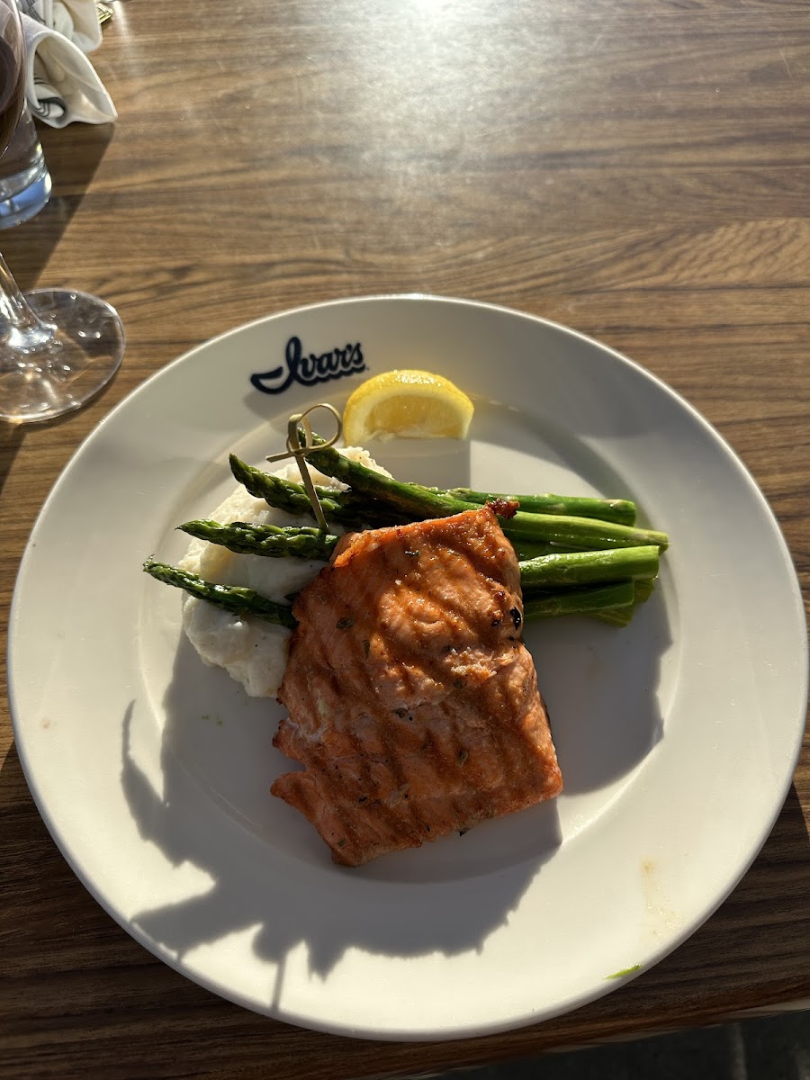 Salmon