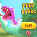 Feed The Snake Game