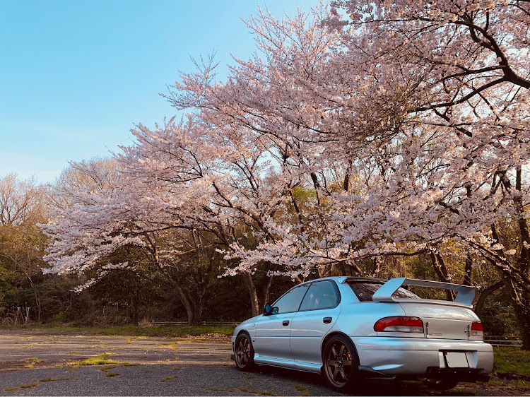インプレッサ WRXのドライブ・桜とコラボ・ベッキオバンビーノに関するカスタム事例の投稿画像5枚目