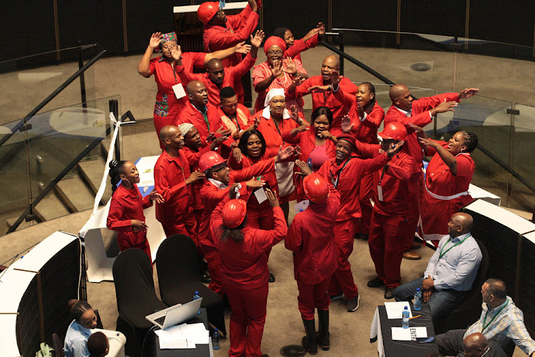 EFF members at the council meeting