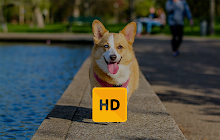 Corgi Wallpaper HD New Tab Theme small promo image