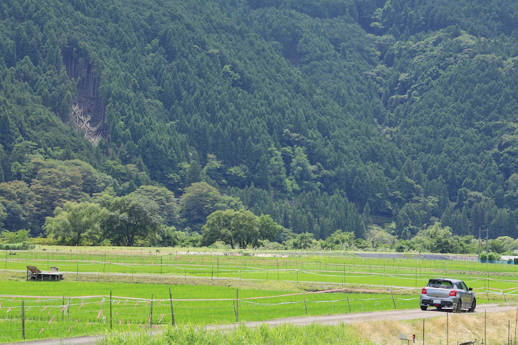 スイフトスポーツの山と愛車・川根本町・川根・川根ドライブ・川根本町へに関するカスタム事例の投稿画像3枚目