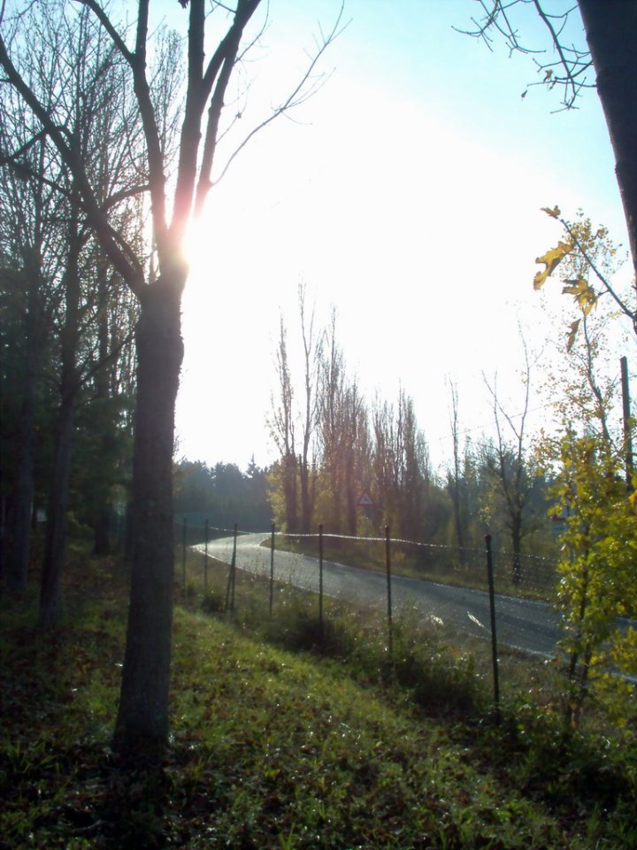 La via dell'autunno di juliet