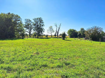 terrain à Cholet (49)