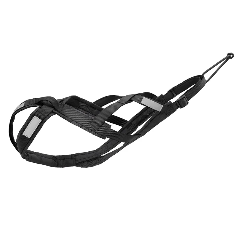 Remorque pour chien avec barre de traction, harnais et collier. Idéale pour les promenades, l'exercice et les aventures en plein air.