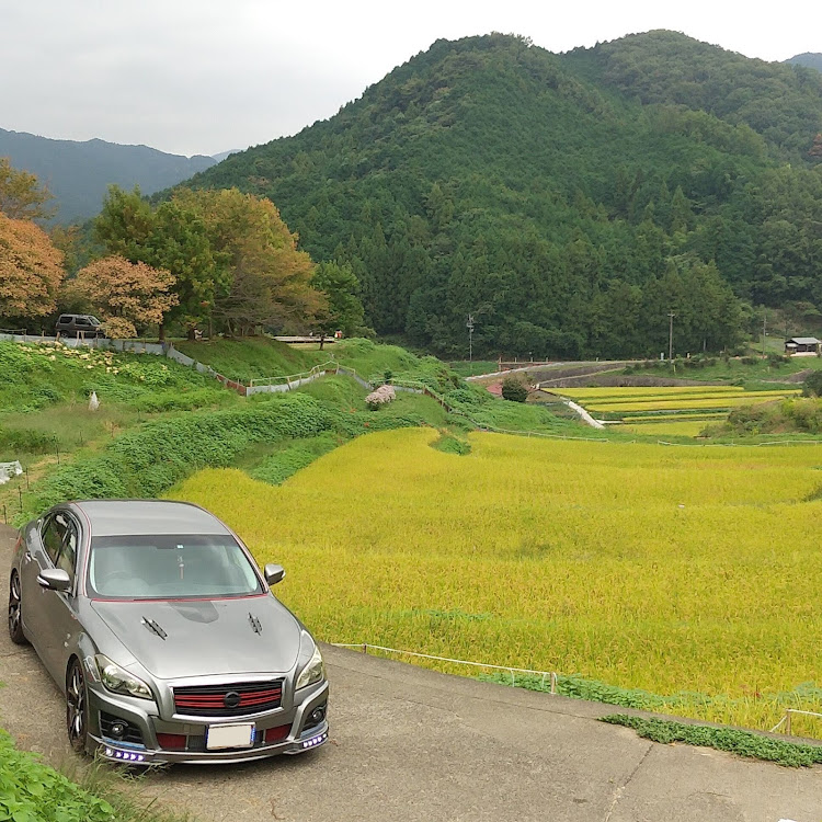 フーガの案山子ロード・案山子コンテスト・奈良県高市郡明日香村稲渕地区・稲渕の棚田に関するカスタム事例の投稿画像3枚目