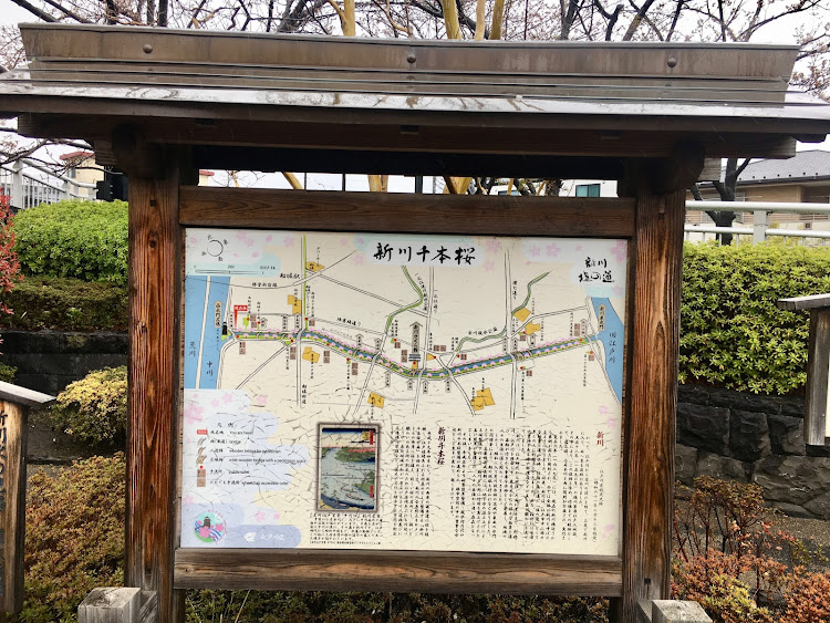 コペンの春☘️の花便り祭り!第六弾!良いね!イイね！いいね！最高だね！・幸せは自分自身で見出す物で他人から与えられる物では有りません！最高だね！・貧乏しても心❤️の貧乏人には成りたく無いですね！最高だね！・妬み!僻み!は持たず!心❤️豊かに過ごしましょう!最高だね！・人は人です!自分の納得出来る生き方をしましょう!最高だね！に関するカスタム事例の投稿画像63枚目