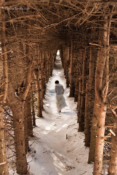 Свадебный фотограф Ольга Салий (annatamila). Фотография от 14 октября 2014