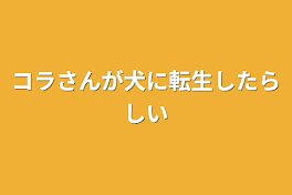 コラさんが犬に転生したらしい