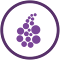 Immagine del logo dell'elemento per Onion Browser Button