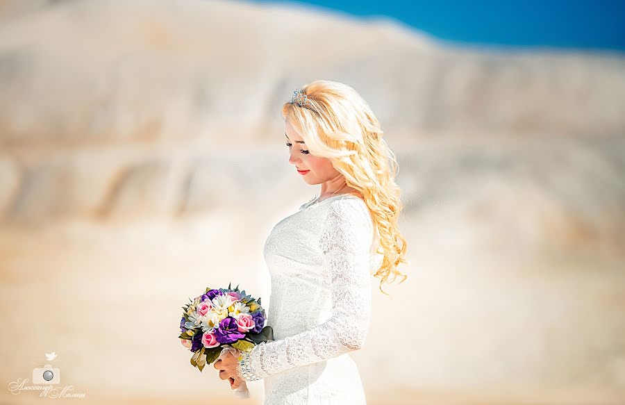 Wedding photographer Aleksandr Malysh (alexmalysh). Photo of 9 October 2015