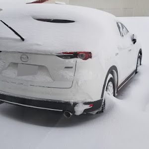 CX-8 KG2P