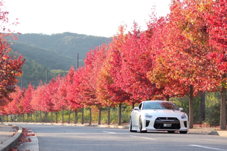 NISSAN GT-Rの紅葉・紅葉と愛車・kuhlに関するカスタム事例の投稿画像6枚目