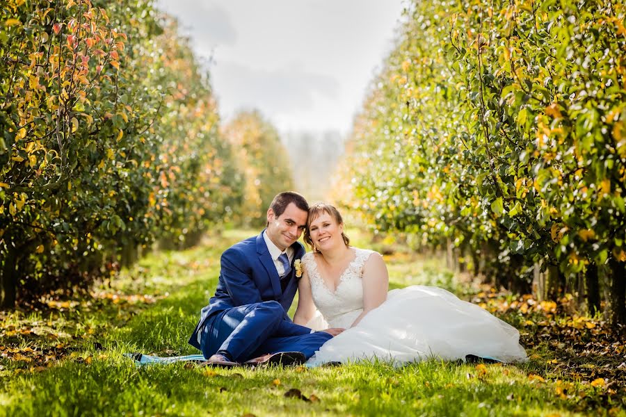 Fotografo di matrimoni Inge Van Den Heuvel (ingevdh). Foto del 26 dicembre 2019