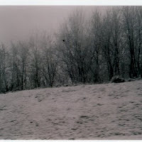 L'inverno visto da un finestrino di 