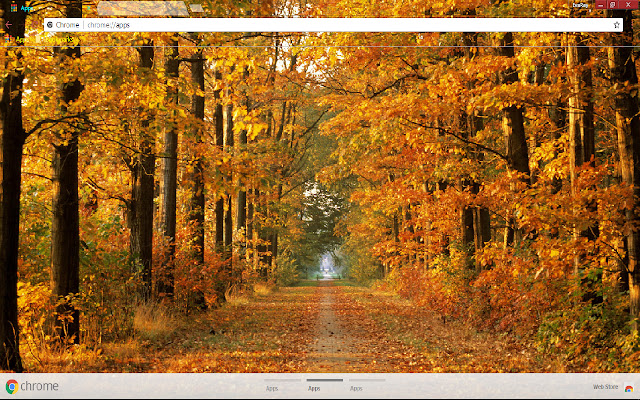 Colors Fall Leaf Path Tree chrome extension