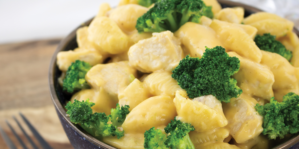 Chicken broccoli shells and cheese