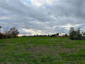 terrain à Nègrepelisse (82)