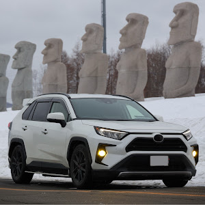 RAV4 MXAA54