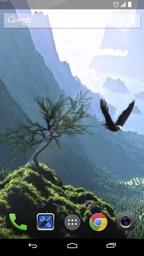 Flying eagle Live Wallpaper