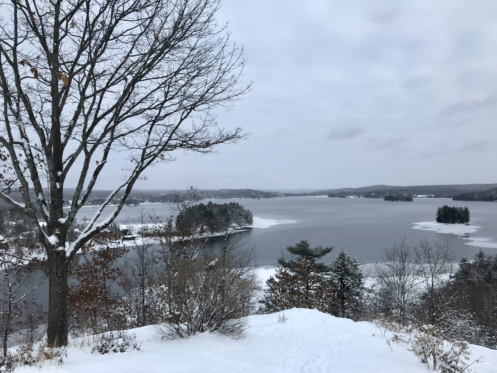 lions lookout huntsville