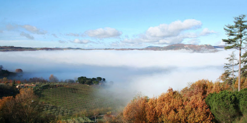 Un mare di nebbia di FC