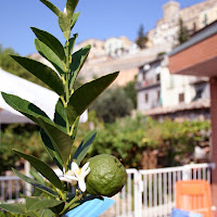 greenlemon di 