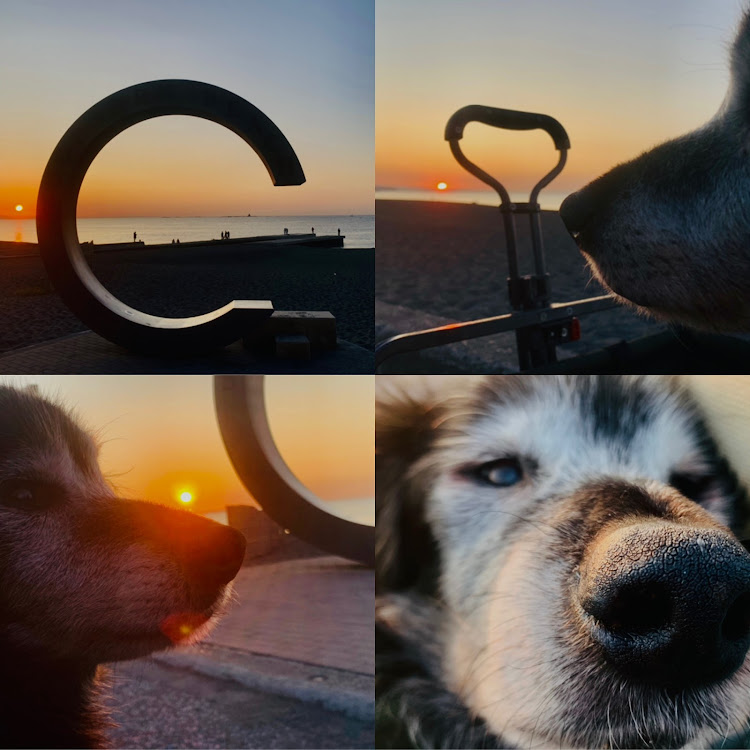 デリカD:5の茅ヶ崎サザンC・サザンビーチ・朝焼けコラボ・愛犬と散歩・5インチリフトアップに関するカスタム事例の投稿画像2枚目