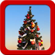 Xmas Tree Live Wallpapers  Icon