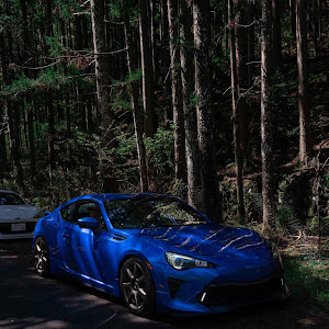 BRZ ZC6