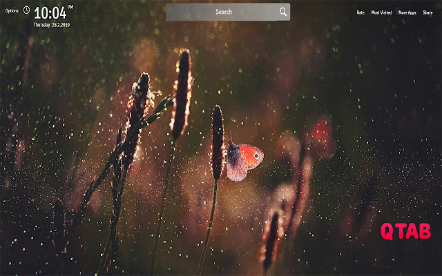 Butterfly Wallpapers Theme Butterfly New Tab