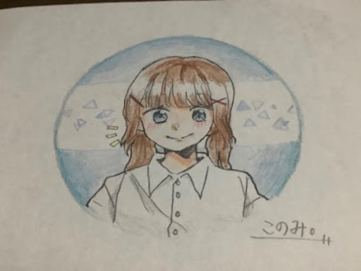 このみ@活動休止中